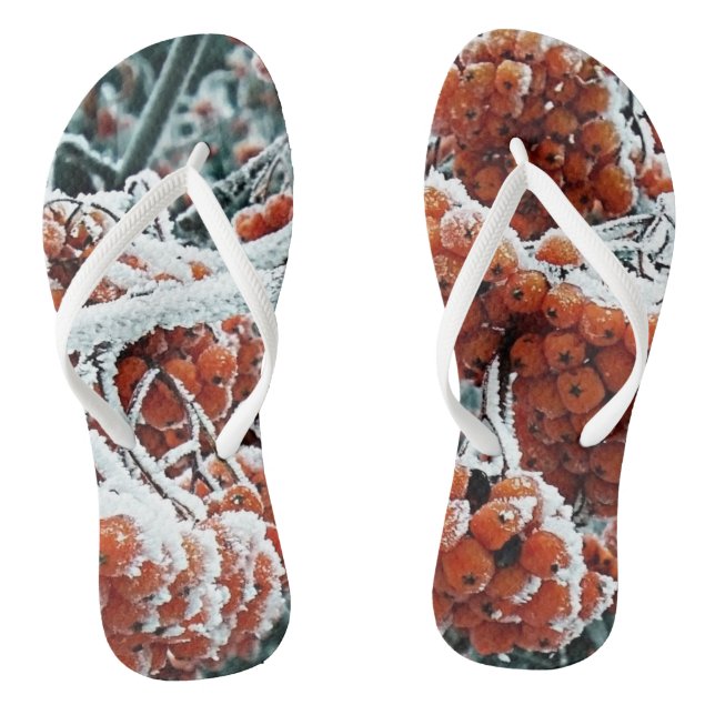 Winter berries of rowan with ice thongs (Footbed)