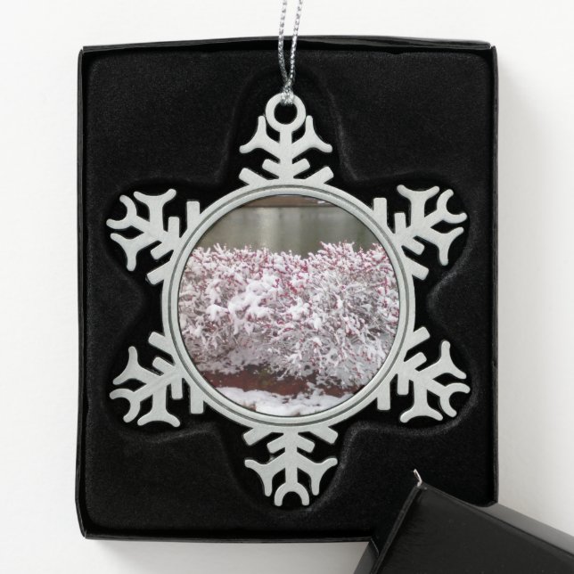 Winter Berries Snowflake Framed Ornament (Box)