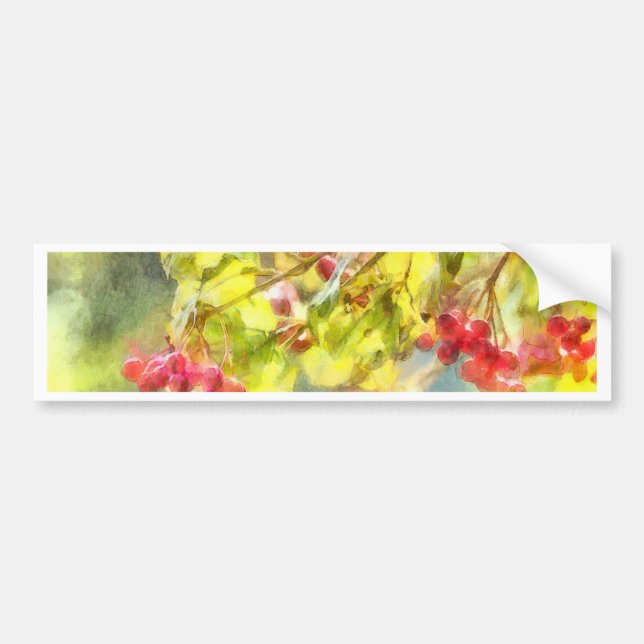 Winter Berries Watercolor Bumper Sticker (Front)