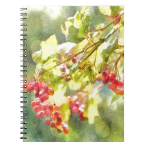 Winter Berries Watercolor Notebook