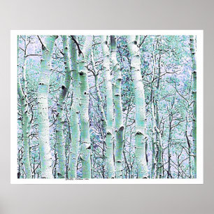 Winter Birch Poster