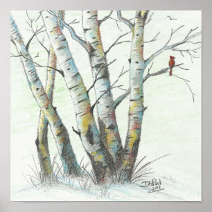 Winter Birches Coloured Pencil Art Poster