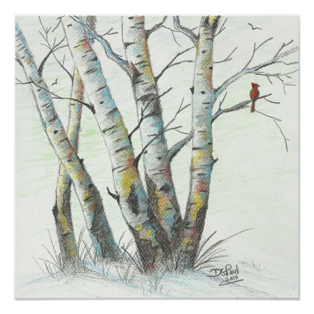 Winter Birches Coloured Pencil Art Poster (Front)