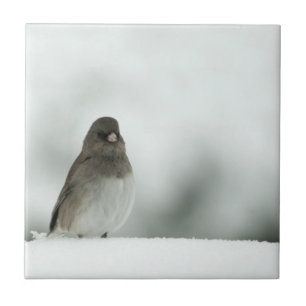 Winter Bird Ceramic Tile