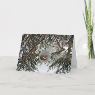 Winter Bird Feeder Holiday card