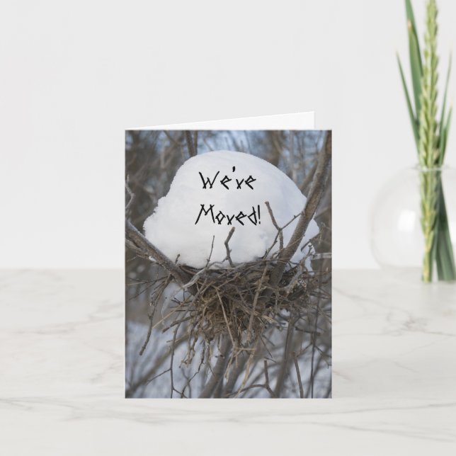 Winter Bird Nest Change of Address Announcement (Front)