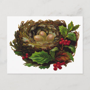 Winter Bird Nest Postcard