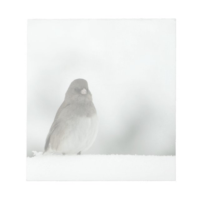 Winter Bird Notepad (Front)