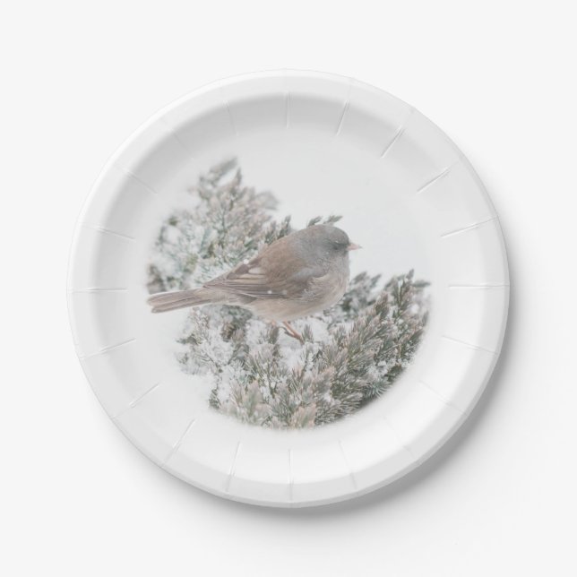 Winter Bird Paper Plate (Front)