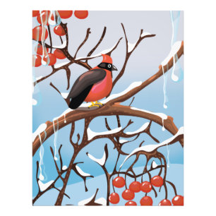 winter bird photo print