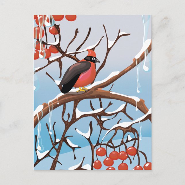 winter bird postcard (Front)