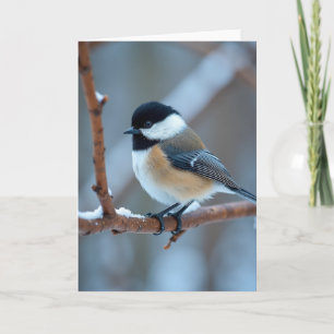 Winter Bird Snow Branch Card