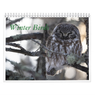 Winter Birds Calendar