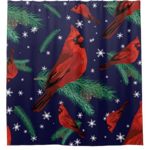 Winter birds - cardinals on fir-tree branches with shower curtain