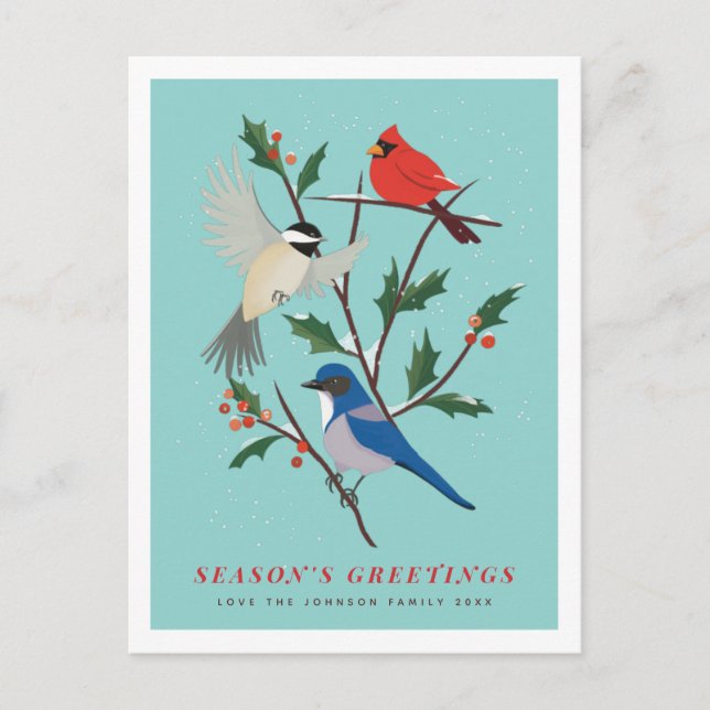 Winter Birds Illustrated Holiday Postcard (Front)