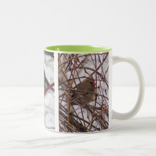 Winter Birds Mug