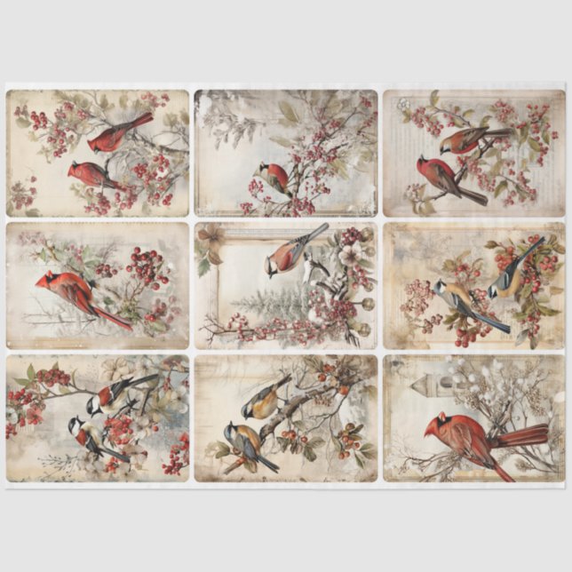 Winter Birds nine Tissue Paper (Front)