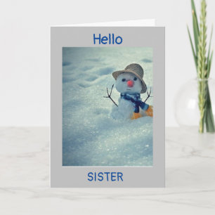 **WINTER BIRTHDAY TO MY *SISTER* CARD