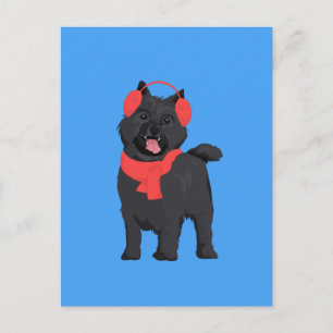 Winter Black Cairn Terrier Dog with Red Ear Muff Postcard