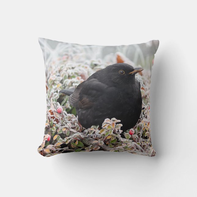 Winter Blackbird Cushion (Front)