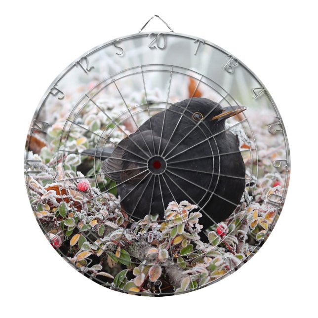 Winter Blackbird Dartboard (Front)
