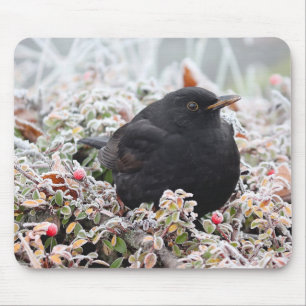 Winter Blackbird Mouse Pad
