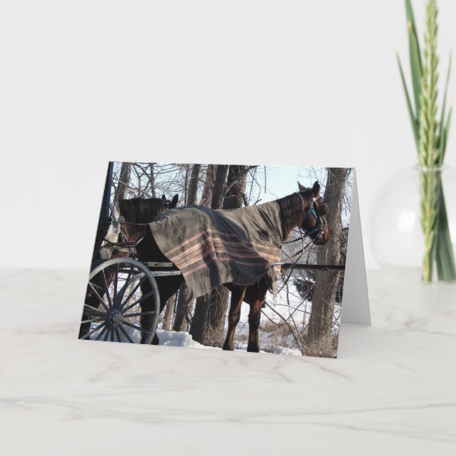 Winter Blanket Card (Front)