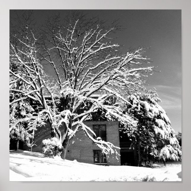 Winter Blast B+W Poster (Front)