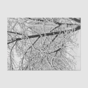 Winter Blizzard Storm Snowy Tree Nature Photograph Tissue Paper