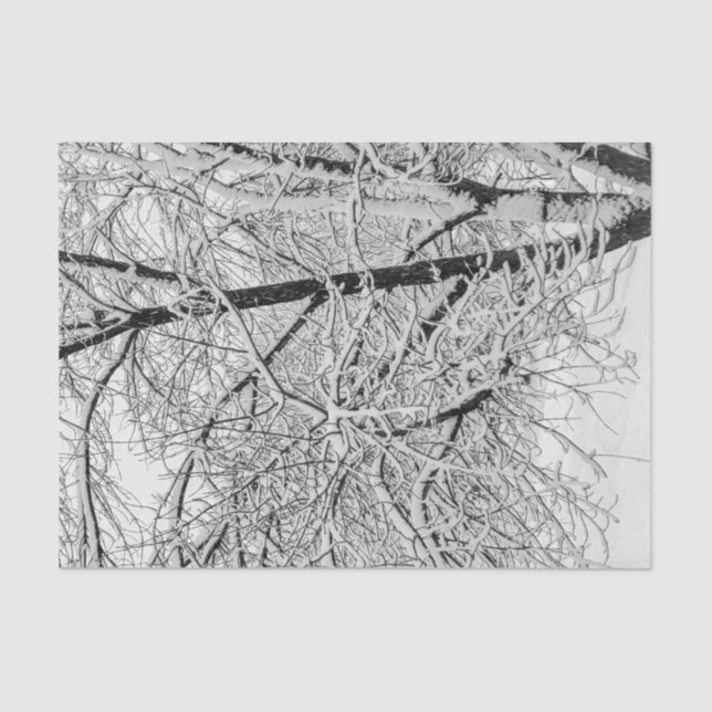 Winter Blizzard Storm Snowy Tree Nature Photograph Tissue Paper (Front)