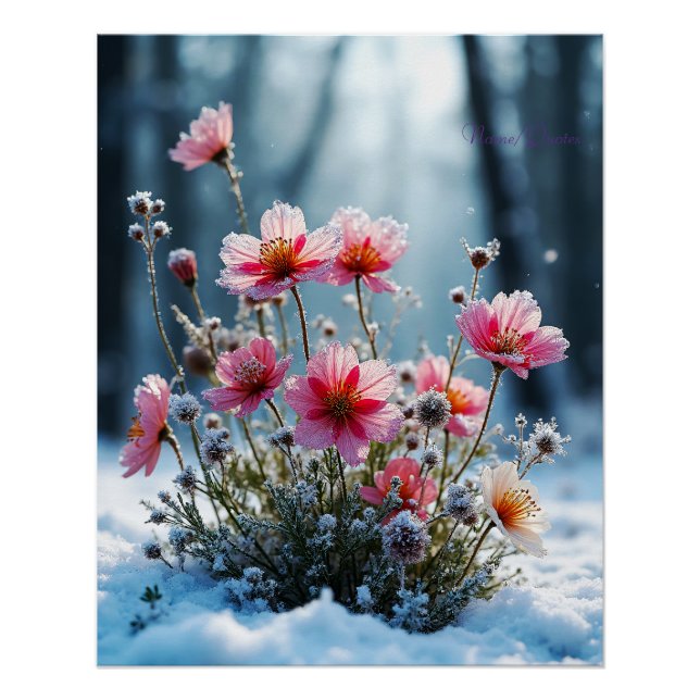 Winter Bloom – Pink Cosmos in the Snow Poster (Front)