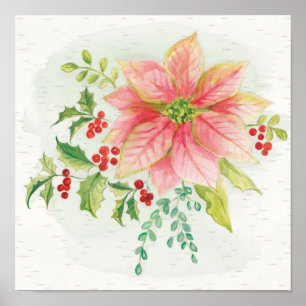 Winter Blooms Pink Blooming Poinsettia Poster