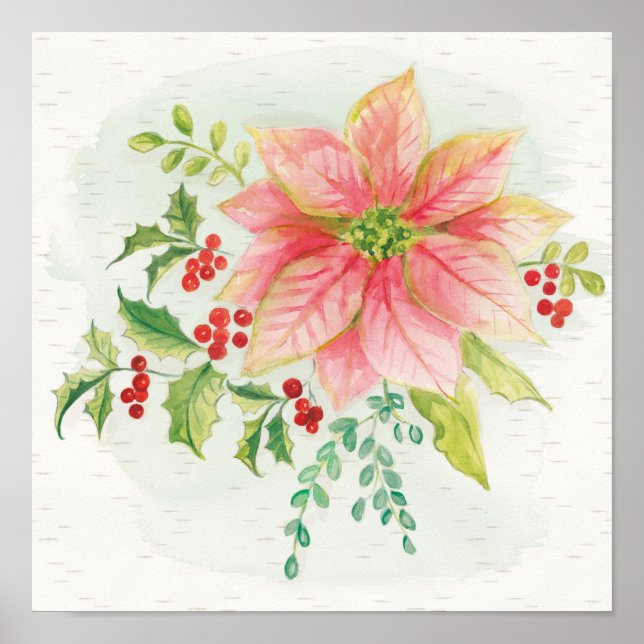 Winter Blooms | Pink Blooming Poinsettia Poster (Front)