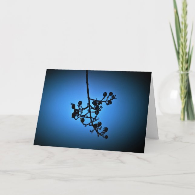 Winter Blue, card (Front)