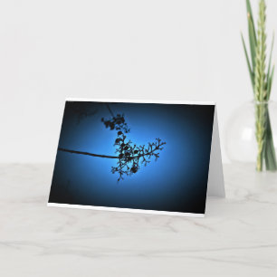 Winter Blue, card