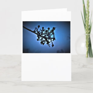 Winter Blue, card