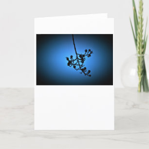 Winter Blue, card