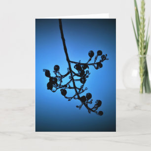 Winter Blue, card