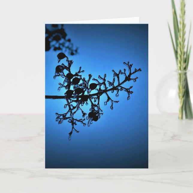 Winter Blue, card (Front)