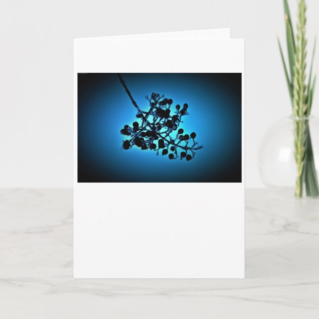 Winter Blue, card (Front)