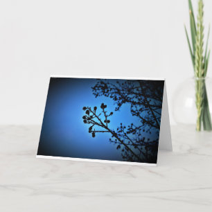 Winter Blue, card