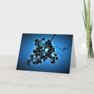 Winter Blue, card