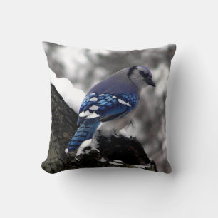 Winter Blue Jay Cushion