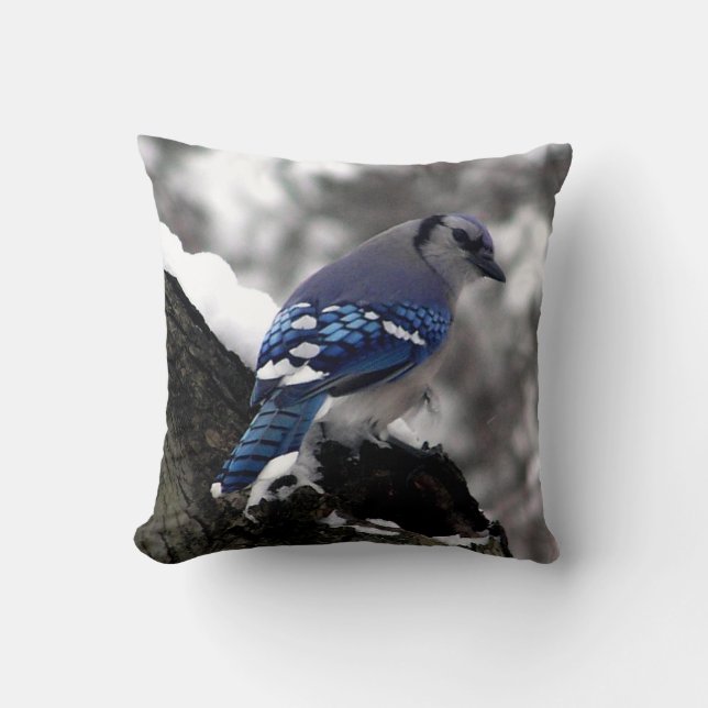 Winter Blue Jay  Cushion (Front)