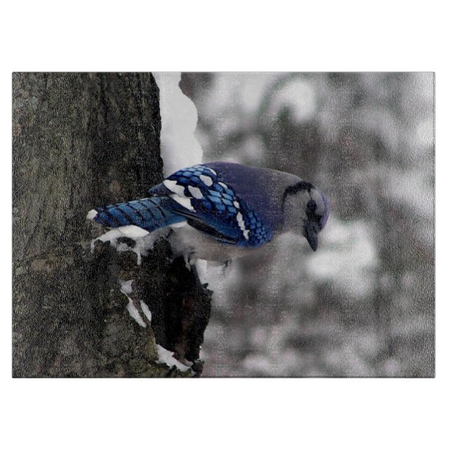 Winter Blue Jay  Cutting Board (Front)