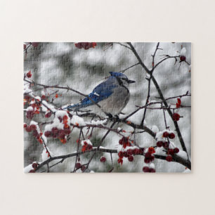 Winter Blue Jay Jigsaw Puzzle