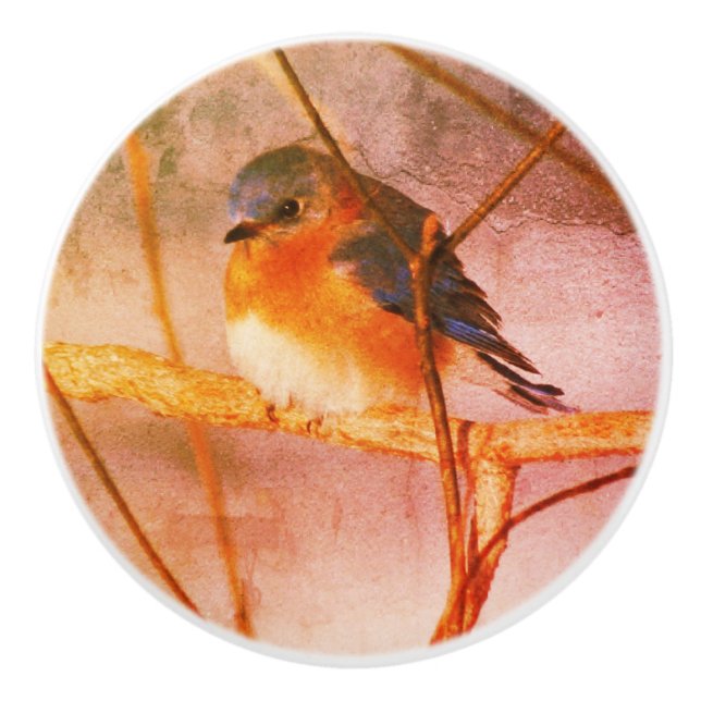 Winter Bluebird Abstract Distressed Grunge  Ceramic Knob (Front)