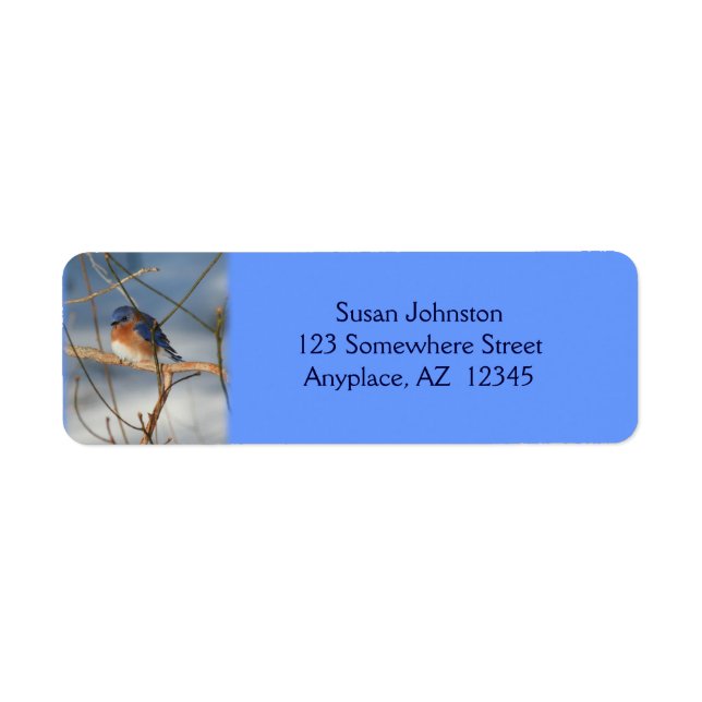 Winter Bluebird Animal Address Return Address Label (Front)