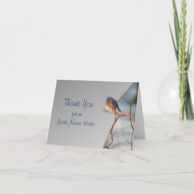 Winter Bluebird Bird Nature Thank You Card (Front)