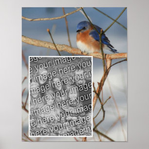 Winter Bluebird Frame Create Your Own Photo Poster